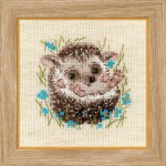 Little Hedgehog (image for) Little Hedgehog